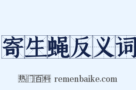 寄生蝇反义词是什么意思的图片